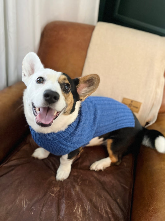 Hand Knitted Dog Turtleneck Sweater